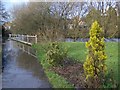 Flooded footpath, Tisbury