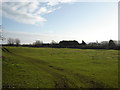 Field  at  Carr  House  Farm