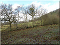 Farmland near Troed-y-rhiw