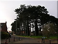 Gloucester, Abbeymead: Dancers Hill