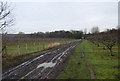 TR0957 : Muddy track through an orchard by N Chadwick