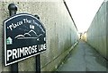 Primrose Lane, Newcastle