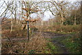 Footpath / Bridleway junction, Stock Wood