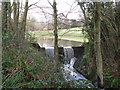 Lake at bottom of garden