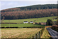 Cottages near Saughtrees