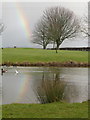 Hazelbury Bryan: reflection of a rainbow