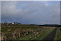 Dismantled railway near Auchinleck