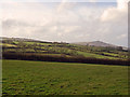 Field near Henllan Owen, Eglwyswrw