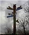 Bird sign post at the entrance to RSPB Old Moor site