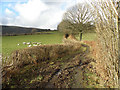 Footpath near Cilycwm