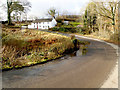 Country road to Cilycwm