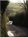 Lane to Bow Bridge