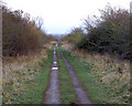 SP3866 : Old railway, east of Hunningham by Andy F