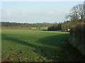 2009 : Resting pasture on the lane to Truckle Hill