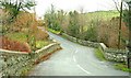 River bridge near Crossgar