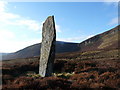 NC9415 : "Clach Mhic Mhios" stone in Glen Loth by sylvia duckworth