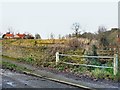 Ditch entering Field Beck at Holdingham