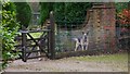 Sussex Border Path at Durfold Wood