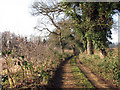 Footpath to Saxthorpe