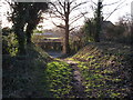 Footpath in the Wirral Country Park