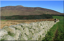 J3422 : Mourne Wall near Annalong Wood by Rossographer