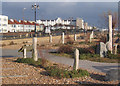 Waterwise Gardens and Worthing sea front