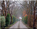 The Fields House, Southam, driveway