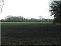 Field near Takeley