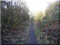 Pilley Nature Reserve west of Pilley Bridge