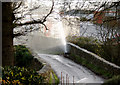 A leak at the bridge  in Ballinteggart Road