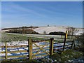 Jubilee Way towards Little Dalby