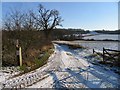 Towards Green Spinney