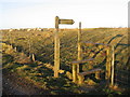NY8671 : Sign and stile on Hadrian's Wall Path at High Teppermoor by Mike Quinn