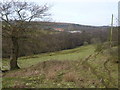 Earthworks in the valley below Howthorpe Farm