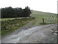 Farm track near Mossilee