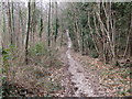 Bridleway between The Danes and Rewell Wood