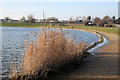 Boating Lake, Brightlingsea