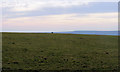 Spring Barn Trig Point, Lewes