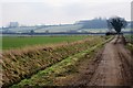 Farmland at Honington