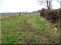 Bridleway to Manswood