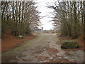 Old road into Bold Venture Quarry