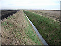 TL5084 : Fenland ditch by Hugh Venables