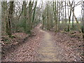 Repaired bridleway