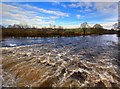 River Ken, with water from Glenlee Tailrace Emerging In The Foreground