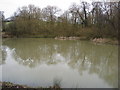 Fishing Pond hidden by Woodland