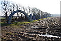 Polytunnel supports by the hedge