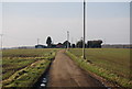 Looking SW to Mayton Farm along Mayton Lane