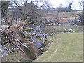 Stream and field boundaries on the edge of Prewley Moor