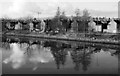 The River Lagan at Stranmillis Embankment