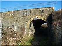TQ6956 : Railway bridge over footpath by David Anstiss